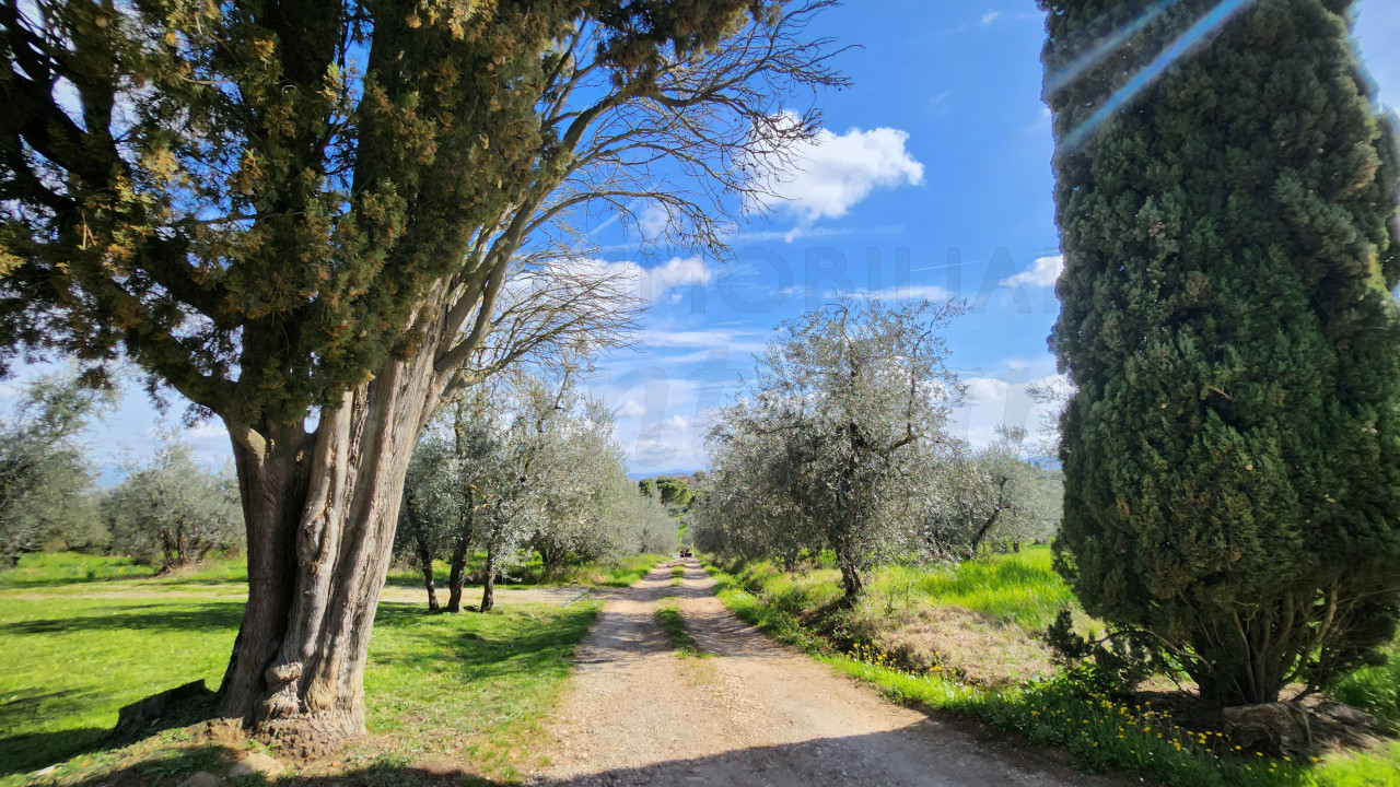 Trilocale con giardino in affitto a San Casciano Val di Pesa