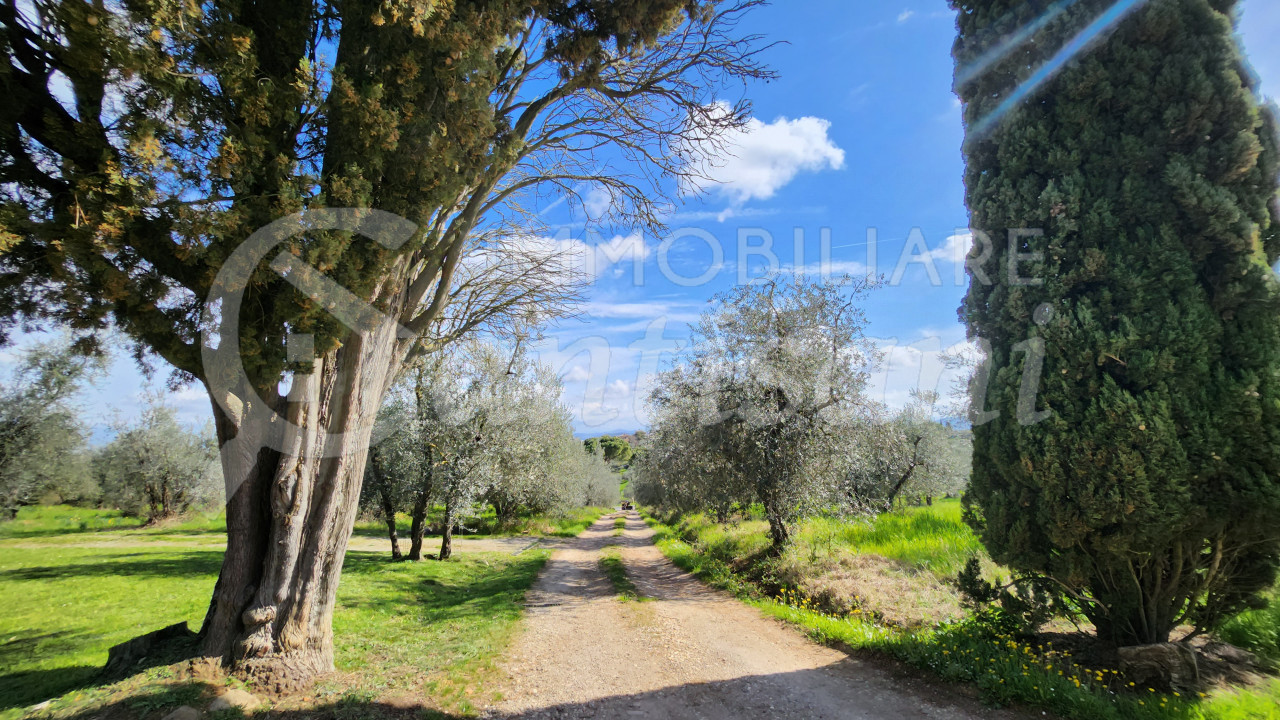 4 locali con giardino in affitto a San Casciano Val di Pesa