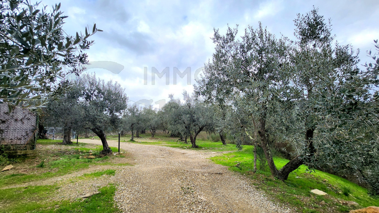 Appartamento in villa storica sulle colline di Careggi