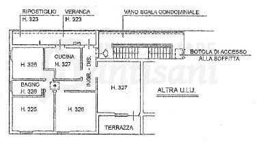 5 locali in affitto per studenti a Novoli