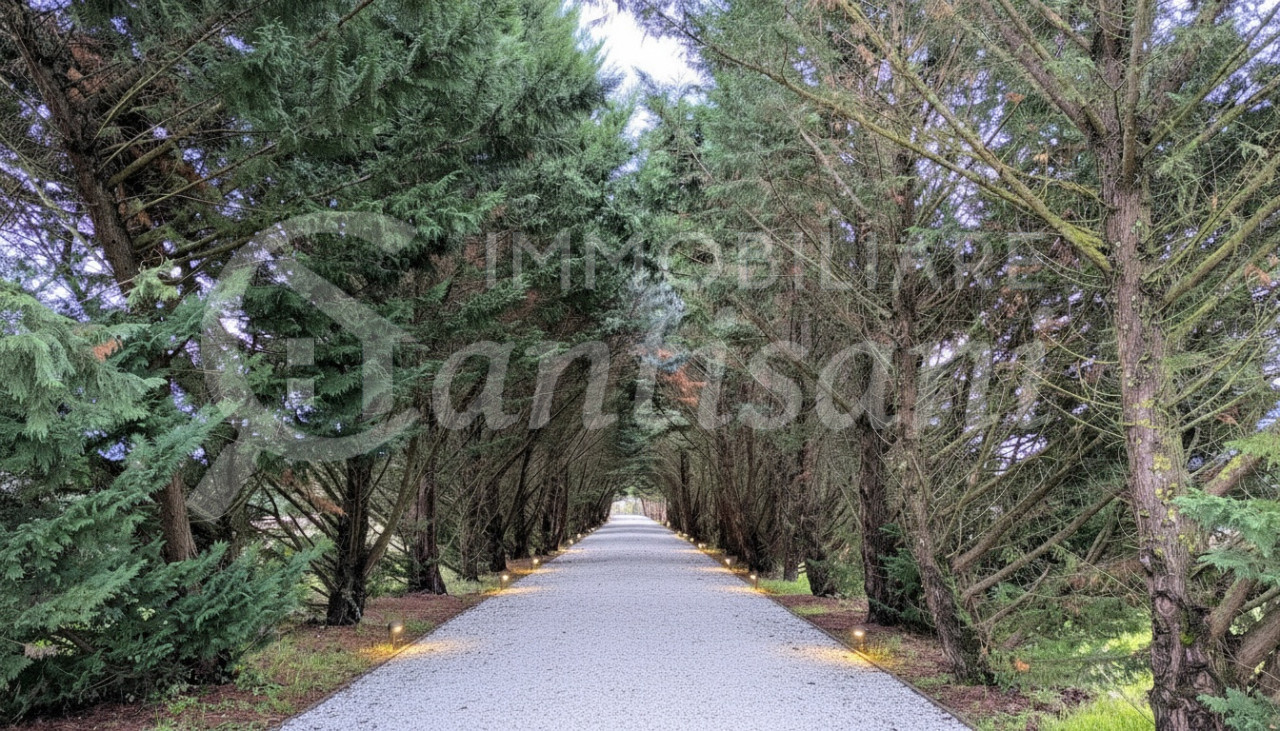 Appartamento Quadrilocale Ristrutturato con Giardino Esclusivo a Vicchio