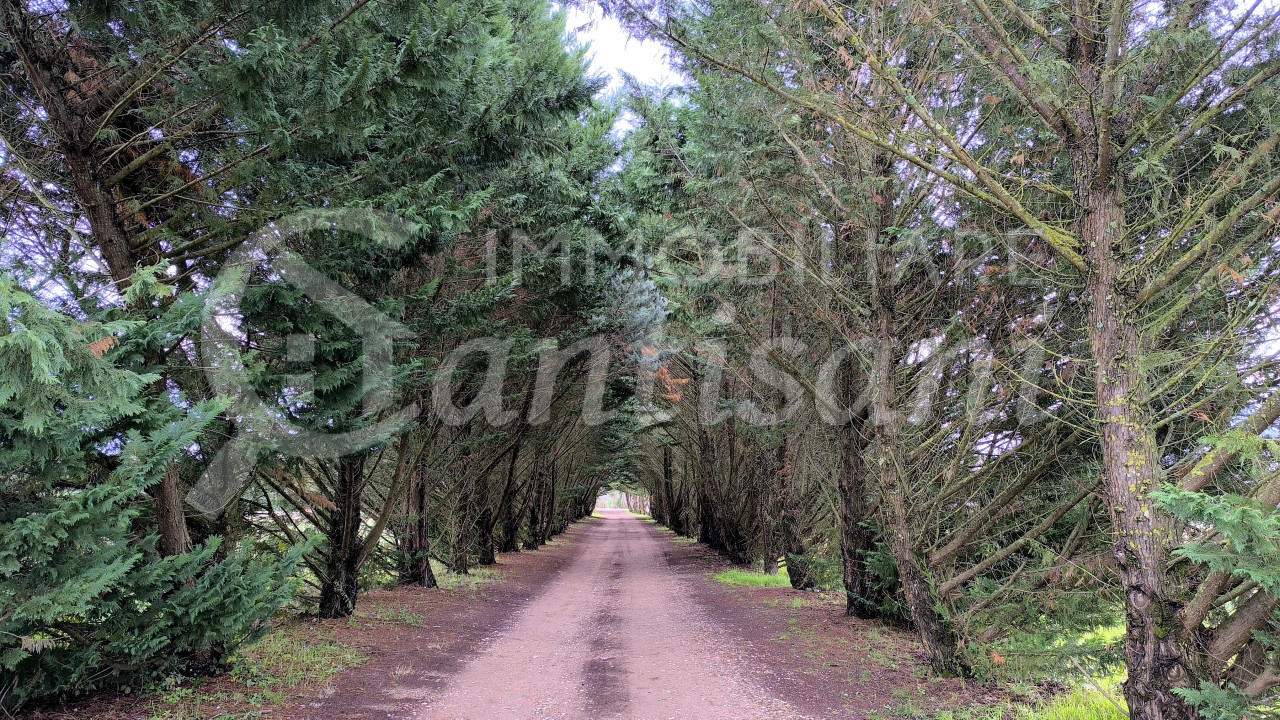 Appartamento Quadrilocale Ristrutturato con Giardino Esclusivo a Vicchio