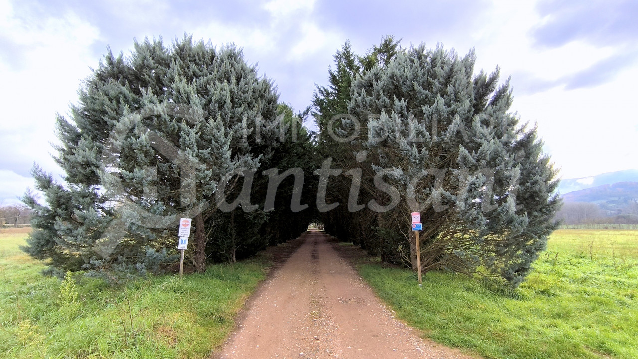 Appartamento Quadrilocale Ristrutturato con Giardino Esclusivo a Vicchio