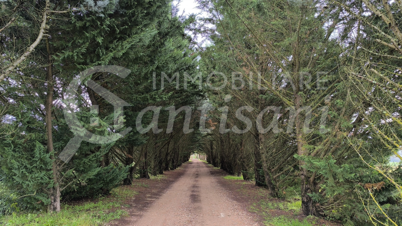 Appartamento Quadrilocale Ristrutturato con Giardino Esclusivo a Vicchio